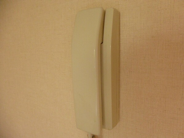 アベニュー安室の物件内観写真